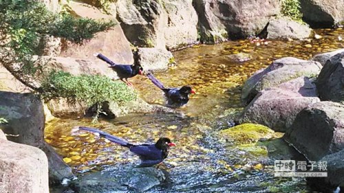 �_���e�^�l�F�{�o�������ҷQ�ஔ��Ҋ���D��