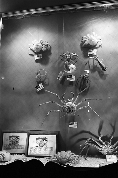 �_���r�����Ҽ��н^�