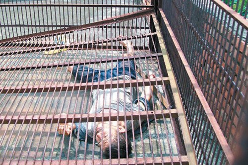 ���������±��F�|(zh��)���\�����ԷQ�����c(di��n)��������