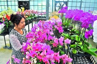 �_���������m���S�𰢋ߡ����ۣ��D��