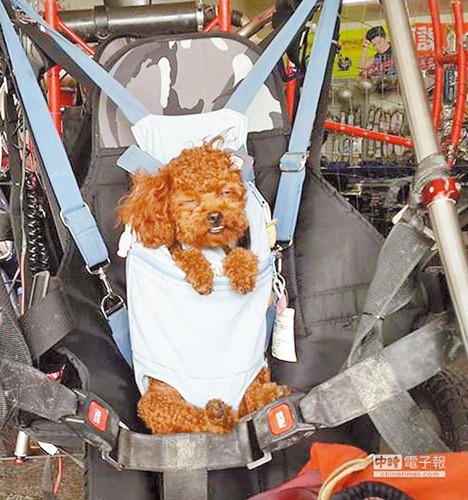 �����{�w�Ђ���Ёy�w���d���ﹷ�_������