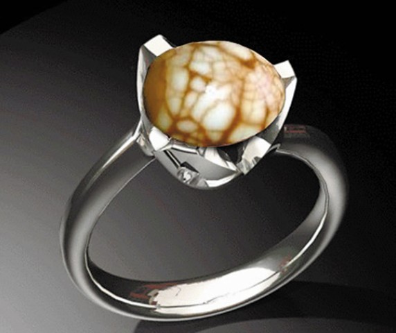 �W(w��ng)�ѐ�����~���Ÿ��D�����W(w��ng)�j(lu��)�D��