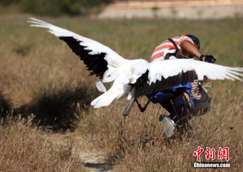 �ο���Ұ������Q���u �ǪN�ӸZ�U������