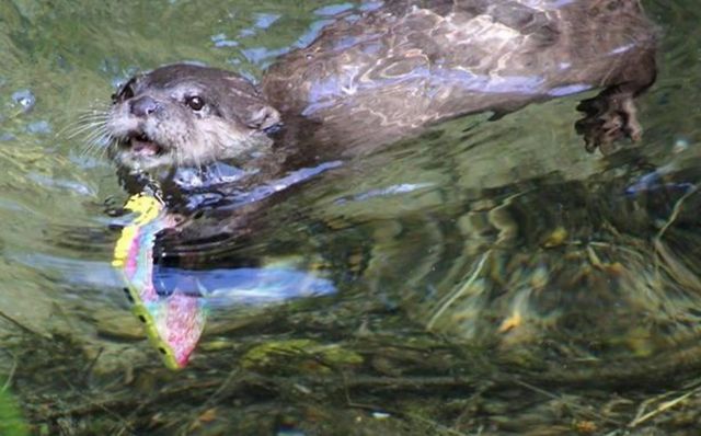 �ο�iPhone�֙C���Mˮ���ˮ�H�͓�؁���