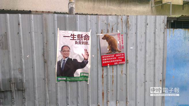 游錫堃宣傳海報與“狗屎要帶走”海報并列被諷 游錫堃宣傳海報與“狗屎要帶走”海報并列被諷