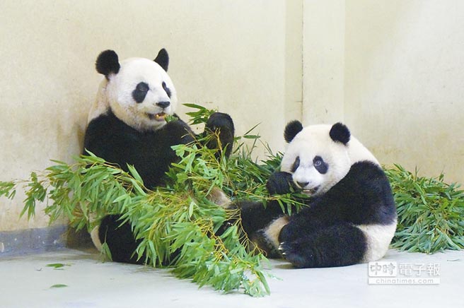 �A�п����~�Ԅ�����Ęʽ���Է� ߅��߅��Ę���D��