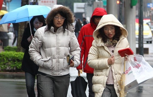 �_���붬�ԁ��ײ��������͜���̽10�ȡ����W�j�D��