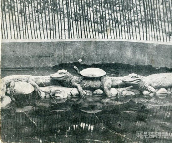 �����_(t��i)����(d��ng)��@���ݶ�������ӛ �`�L(zh��ng)��ڵص�����(�D)