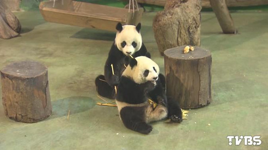 ٛ�_Ӌ������̥ ��׻��c����Ů�����A�з־�(�D)