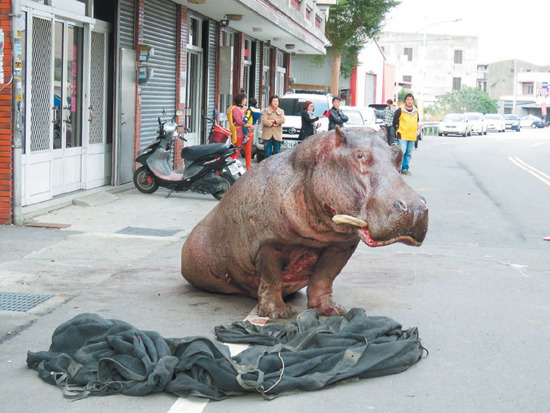 ���޴���R�����ӡ���؛��܇��������܇�⣬�_ײ·߅��ɫ�I܇������Ѫ�E