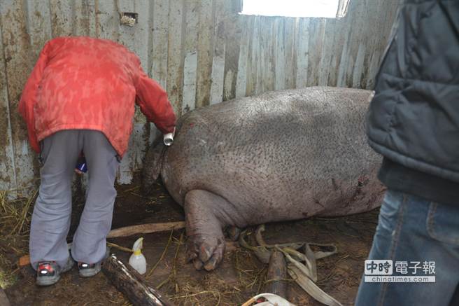 �_���܂����I���R�����ӡ��ѕ��r������(�D)