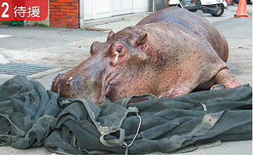 ˮ�������](m��i)���� �_(t��i)����܇(ch��)ˤ�����I���R����(�D)