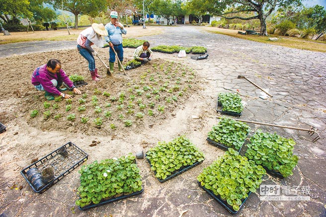 臺(tái)灣缺水就休耕 農(nóng)民淪為犧牲角色怨聲四起 臺(tái)灣缺水就休耕 農(nóng)民淪為犧牲角色怨聲四起