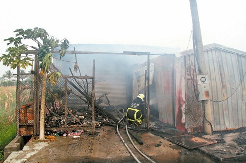 ��Λρ�����88�q�ϋD����ֱ���������ˡ����D��