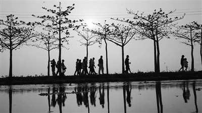 �_�� ׌�l��������