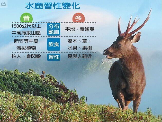 �_���ɺ�����ˮ�ɲݿ� ¹Ⱥ�J���@���|���D��