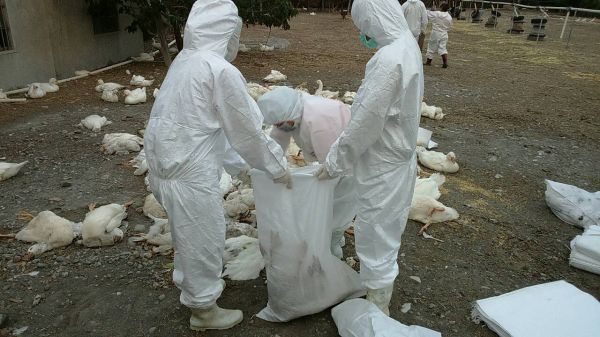 ��ⲻ��(w��n)���û��h���������������DƬ��Դ���_���ЏV���W(w��ng)��