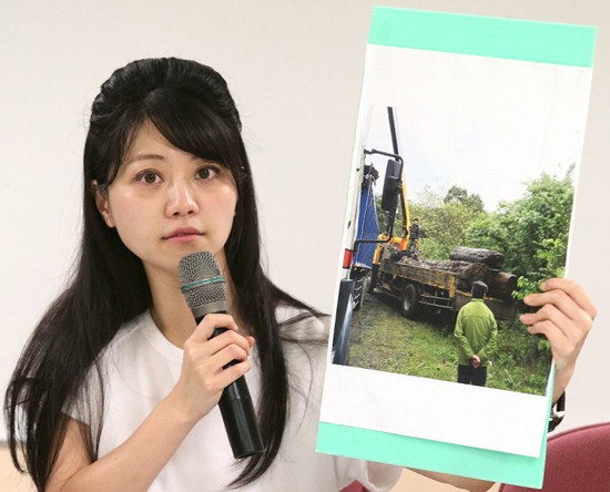 臺北美女議員被指像古代人變發型引網友熱議