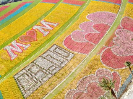 ��ӭ��ĸ�H����λ�ڻ�¡�ē����Ą��@�^����12�f֧�L܇ƴ�ɾ޷�����ܰ�ؾ�