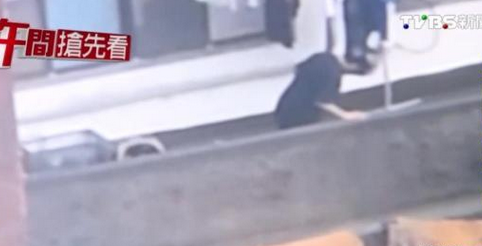 男子自家陽(yáng)臺(tái)虐狗重重摔死裝袋扔掉被鄰居檢舉