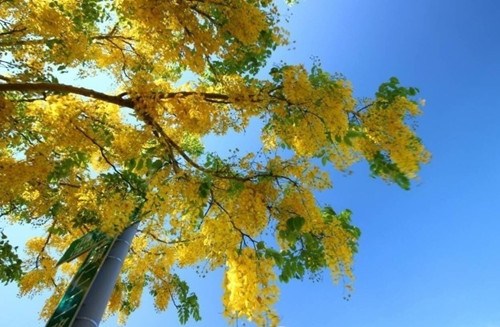 �_�ϻ��_�M�� �P�˻��������ՠ��ข�G(�D)