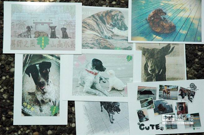 �_���|��W(xu��)������湷������Ƭ ��У��ļ�������