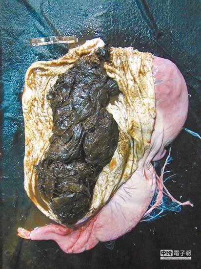 ���L�R�\���� 10�����������Mθ(�D)