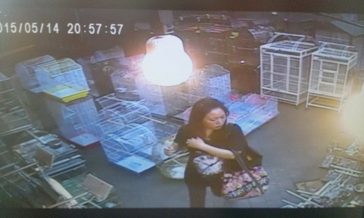 女子被監控拍到徒手偷鸚鵡 辯稱:夢游中不知在干嘛 女子被監控拍到徒手偷鸚鵡 辯稱:夢游中不知在干嘛