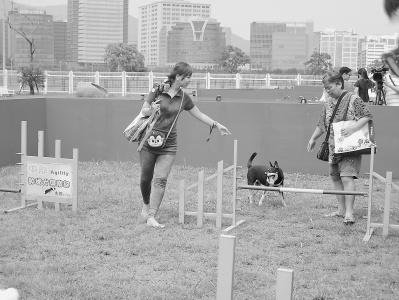 臺(tái)灣各縣市出金點(diǎn)子 設(shè)立狗運(yùn)動(dòng)公園推行撿“黃金” 臺(tái)灣各縣市出金點(diǎn)子 設(shè)立狗運(yùn)動(dòng)公園推行撿“黃金”