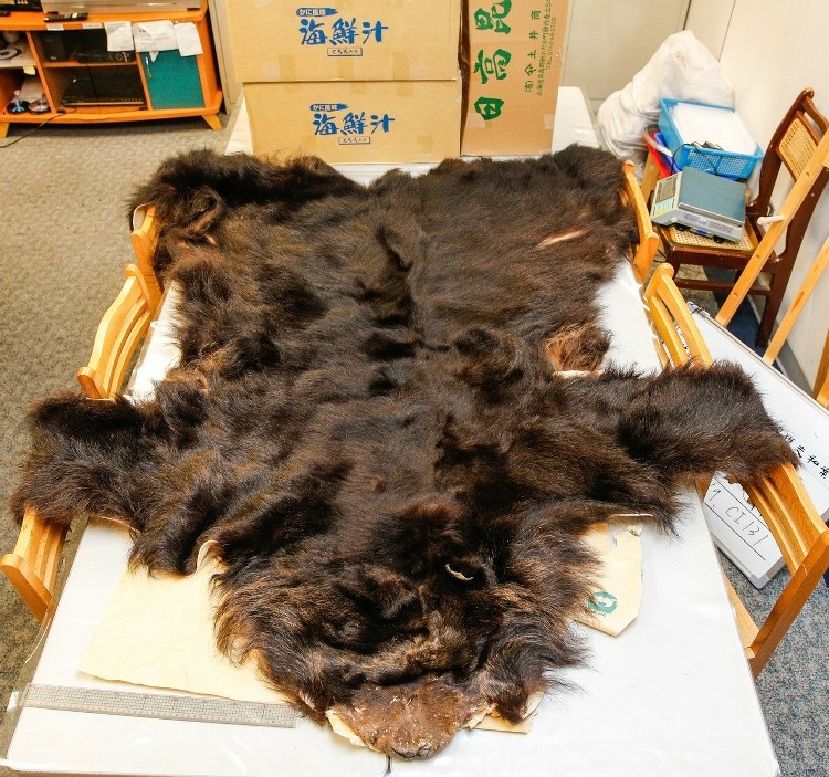 �_���Iꠏ��ձ���˽����������Ƥ