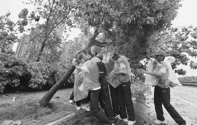 當兩岸青年邂逅“蘇迪羅”同伸援手齊救災(圖)