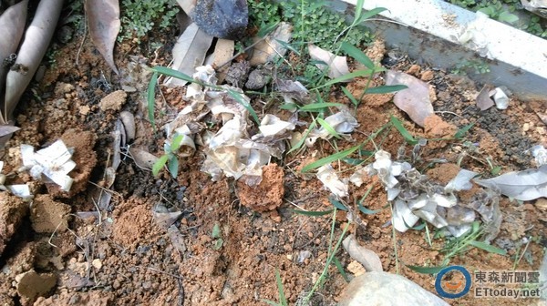 巨蛇為避追捕偽裝蓮蓬頭 網友:一禮拜不想洗澡 巨蛇為避追捕偽裝蓮蓬頭 網友:一禮拜不想洗澡