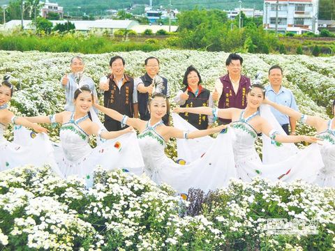苗栗銅鑼鄉舉辦杭菊節邀游客一飽眼福(圖)