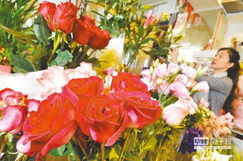 臺灣花卉嚴(yán)重凍傷玫瑰百合翻倍漲價(jià)情人節(jié)恐缺貨