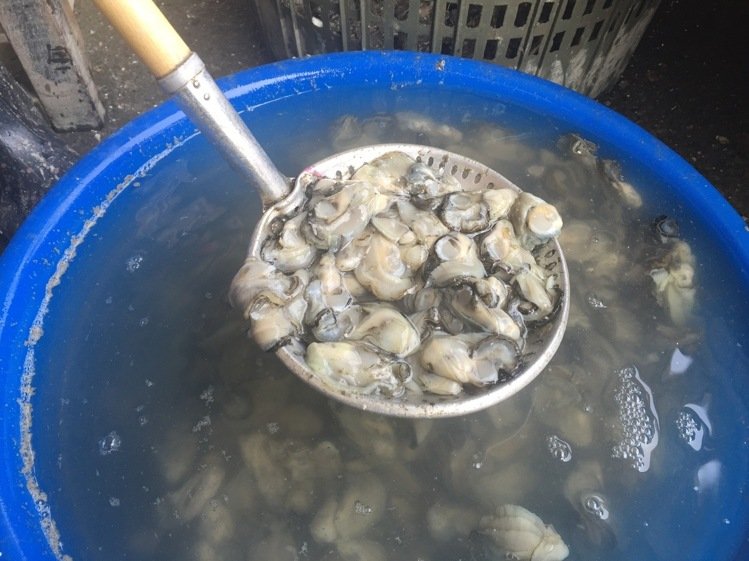 �_������1�Ⱥ�Ҋ��40Ԫ ���M���Ժ�̫�F�I����