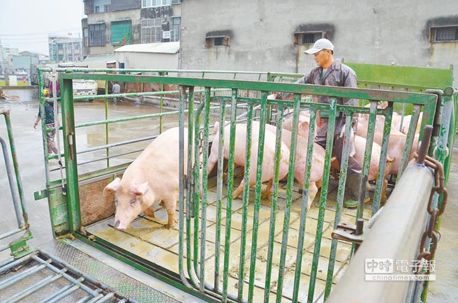 ��Ӣ���®�(d��ng)�֌�(du��)���i�M(j��n)�ڑB(t��i)���Ʉ�(d��ng)�����x�i�r(n��ng)�P(y��ng)�Բ��ų����Ͻ��^�����DƬ��Դ���_(t��i)�����Ї�(gu��)�r(sh��)��(b��o)����