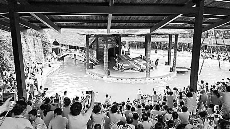 9�գ�����ꑿ͈F(tu��n)���_(d��)�_(t��i)����չ�_(k��i)�����г���