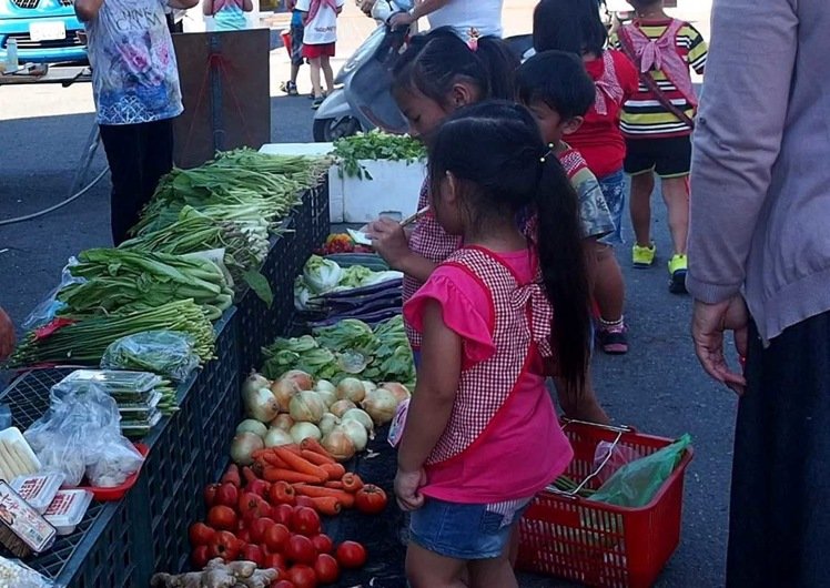  �_(t��i)���߲ˮa(ch��n)�ش󲿷�δ���_(t��i)�L(f��ng)Ӱ푣��߲˃r(ji��)��s�j��