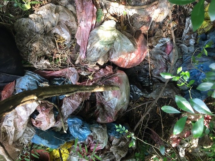 盜領案剩余贓款尋獲 兩千萬現金竟被嫌犯藏在垃圾堆 盜領案剩余贓款尋獲 兩千萬現金竟被嫌犯藏在垃圾堆