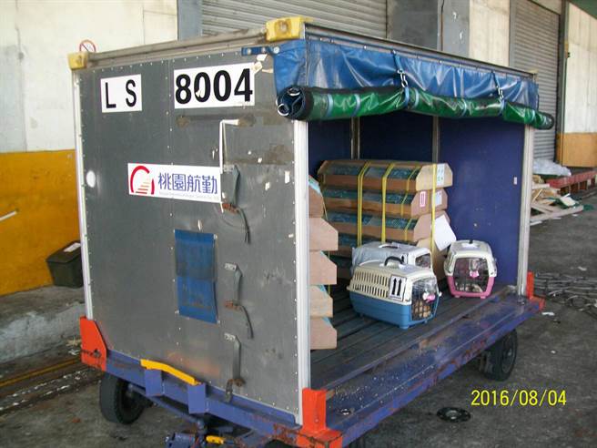 ��ǧֻĵ���B��3ֻ؈Ȯ���҈@���چT����ʧ����؛���л����������DƬ��Դ���_�����Еr��ӈ󡷣�