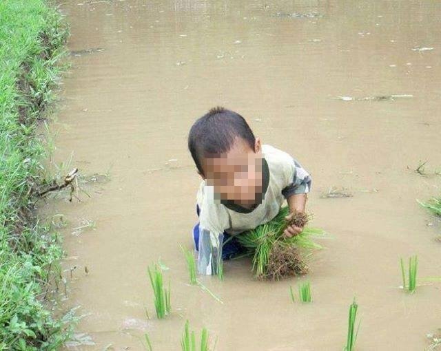 �W�����Վ�æ�r(n��ng)�±���Ц �W(w��ng)�����Z�l(f��)���ώ�