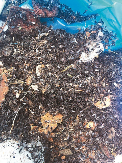 ��Ͷ�h�����l���������׳�С��ρ�����DƬ��Դ���_�����ψ󡷣�