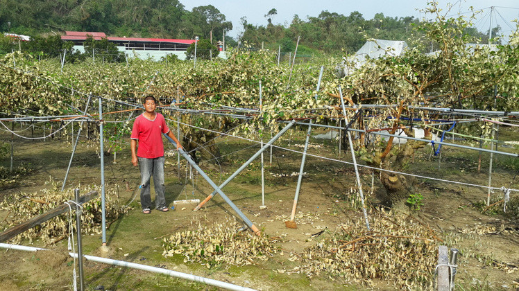 �����ೲ���r�K����17��һ�絽���@�쿴�ēp�����ҾW�ӱ����L�������W�ܺ͗���ȫ��A�������I�������޹��@���X���п��B��