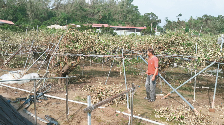 Ī�m���_(t��i)�L(f��ng)�؄�(chu��ng)���r(n��ng) ȫ�_(t��i)�r(n��ng)�p�ư˃|���_(t��i)��