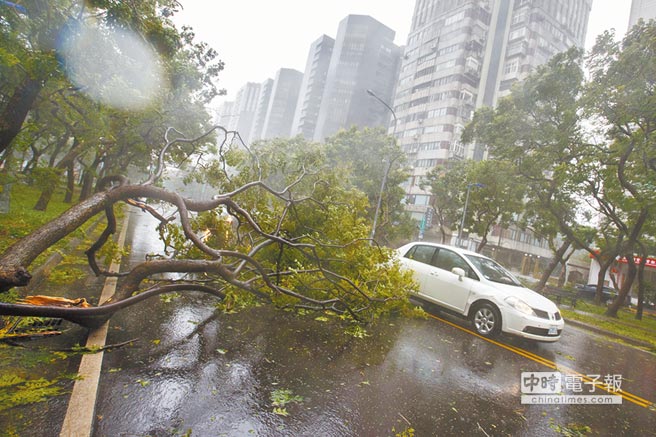 �_�L�����~�����_ ȫ�_4��316�����D��