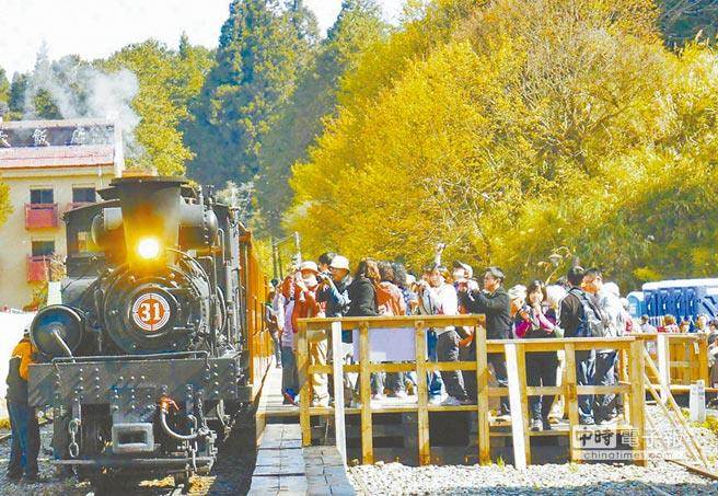 ����ɽɭ���Θ��^�����ꑿ͈F�����