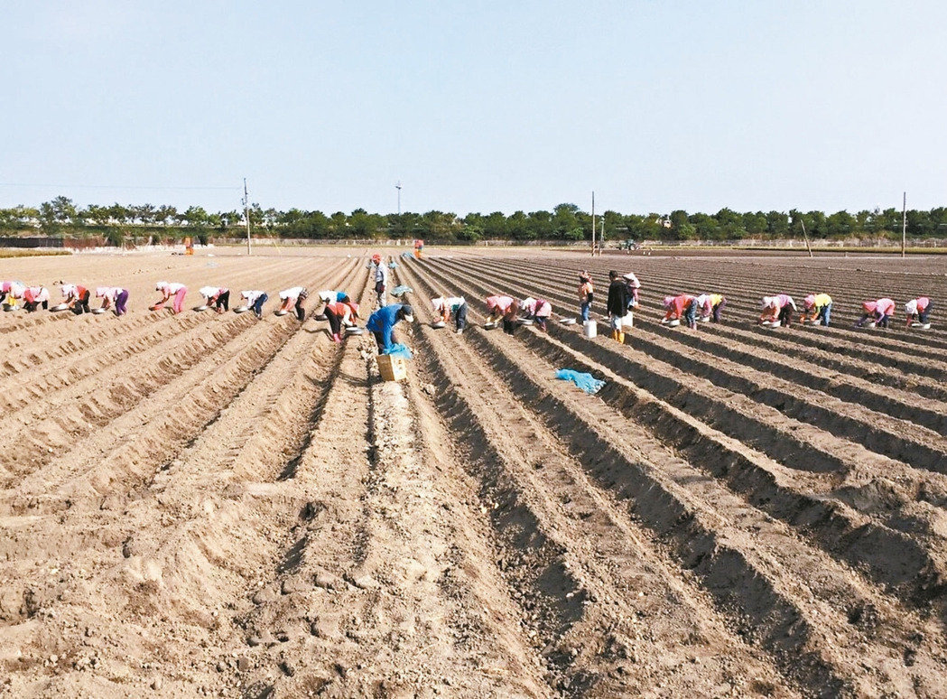 �_���֌�����W���M�����r���� ÿ����ǧ�˾�ȱ��