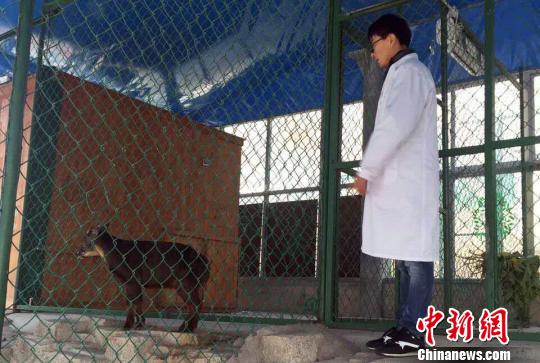 ����(w��n)ÿ������rѲҕ�����^��,�J���^�������О��B(t��i)������ɭ�� �z