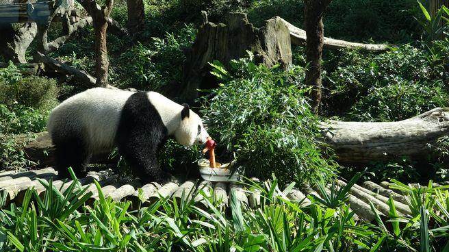 ���A�С������ز͵��ز����O(p��ng)�������}�������ѡ��C�C�^�����~��