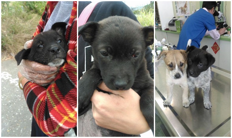 ���۬F׃�BŰ������Ȯ���������л�����